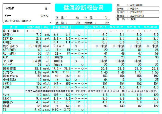血液検査結果