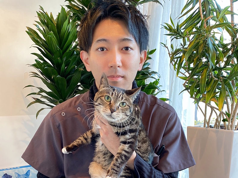 シルエット