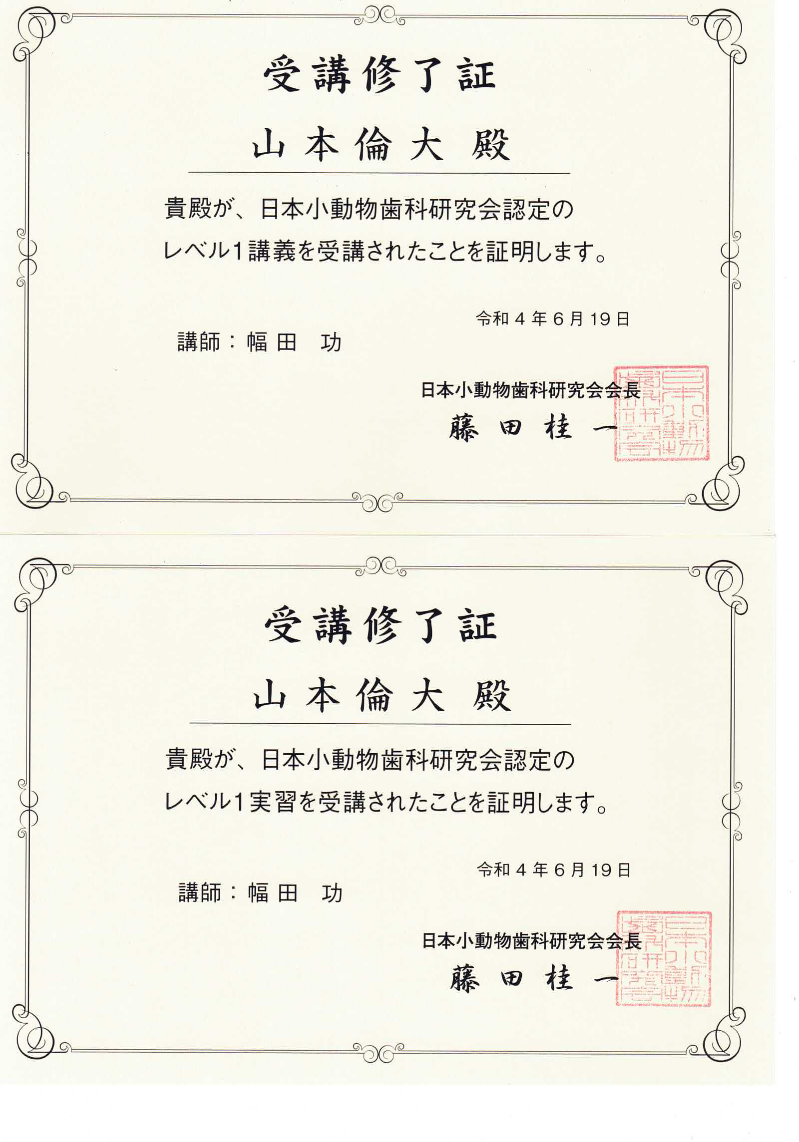 歯科Basicコース VSJ COLLEGE