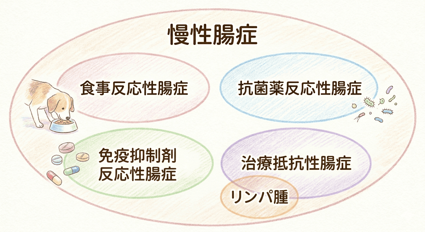 【獣医師が執筆】<br>下痢なのに薬が出ないのはなぜ？<br>犬の慢性腸症と「食事療法」の本当の理由
