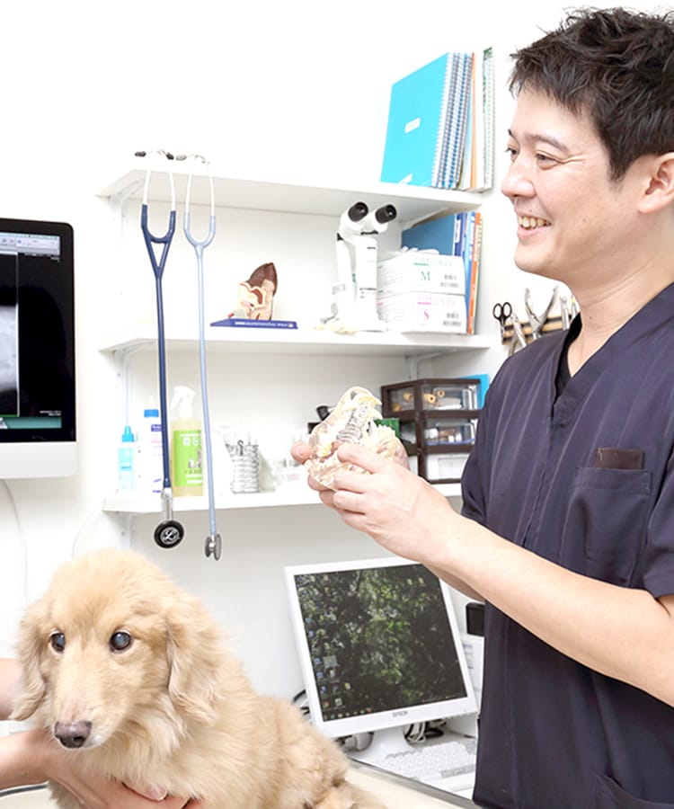 けいこくの森動物病院