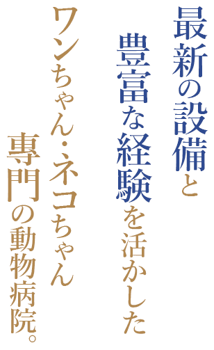 最新の設備と豊富な経験を活かしたワンちゃん・ネコちゃん專門の動物病院。