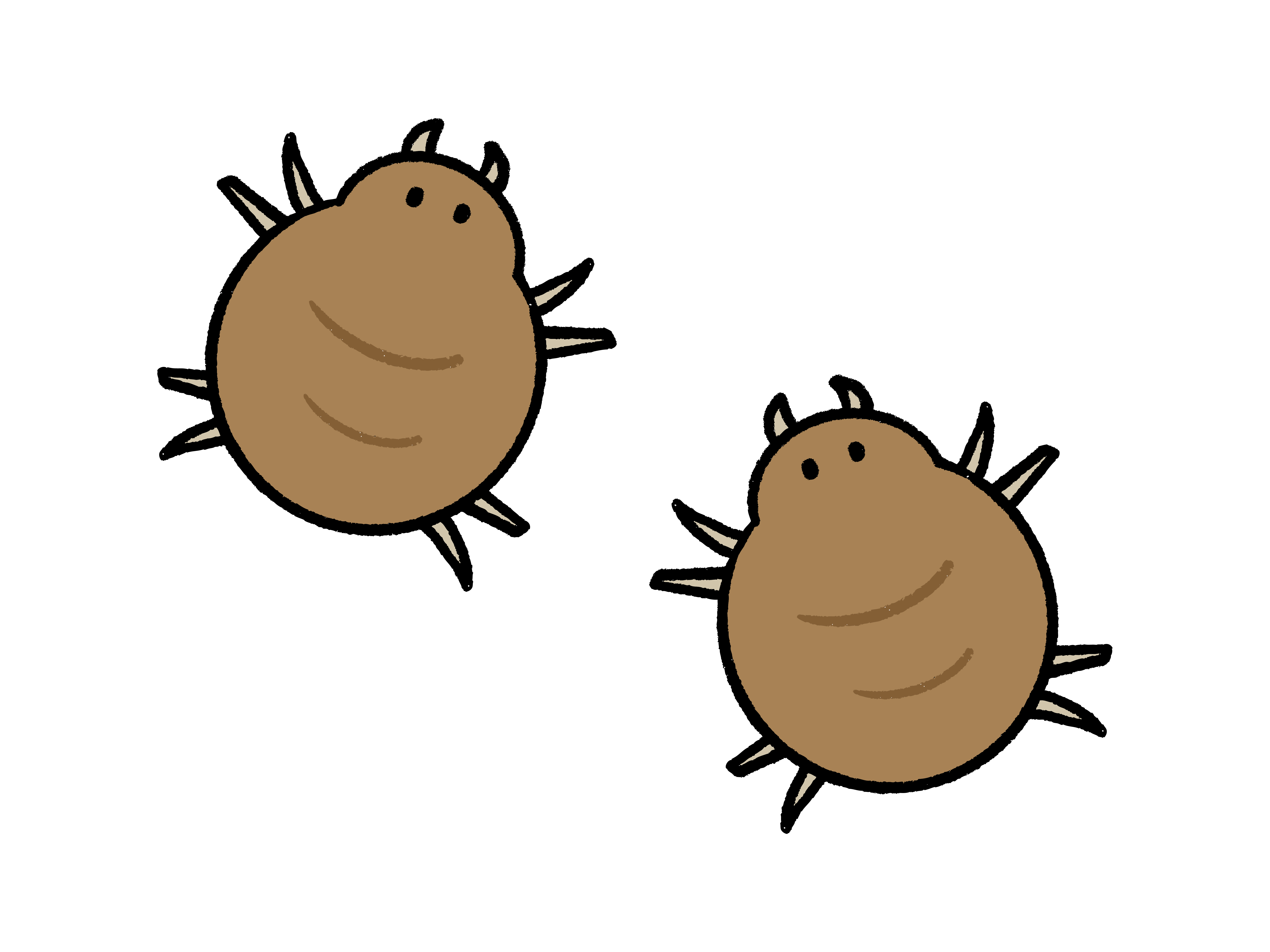 草むらの中にひっそり…？お散歩大好きっ子を守る、マダニのお話