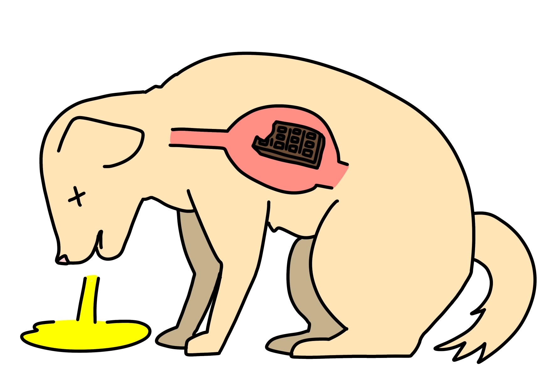 「元気だから大丈夫」が一番危険！愛犬・愛猫を襲う『誤食』の落とし穴